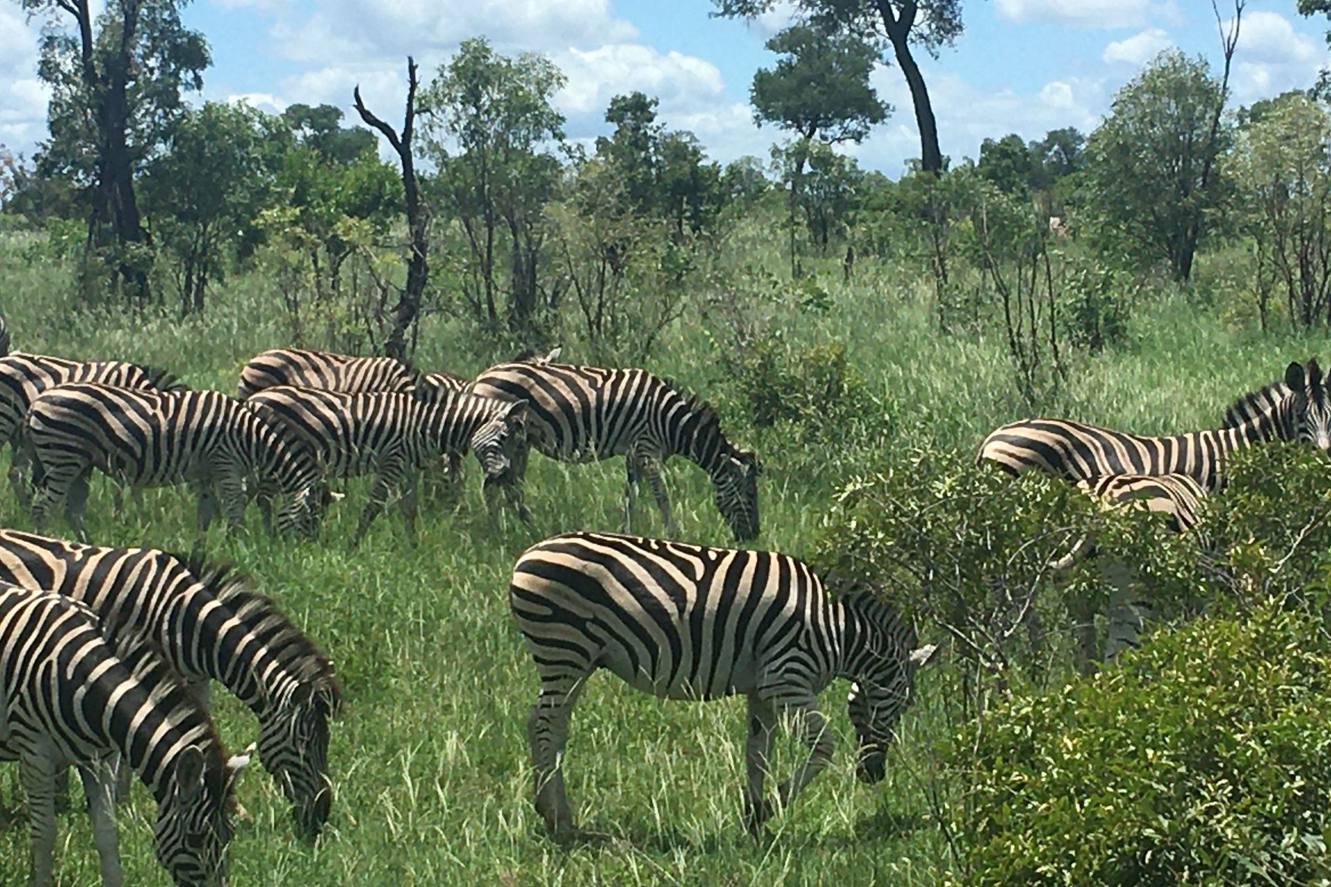 Wo Wildtiere und Menschen gemeinsam leben